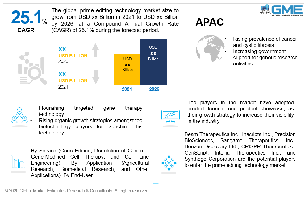 global prime editing technology market